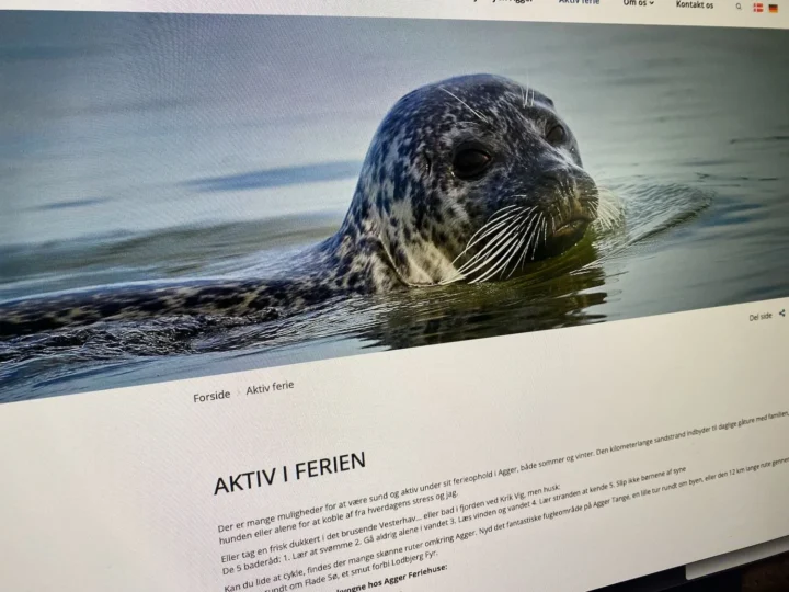 Agger Feriehuse