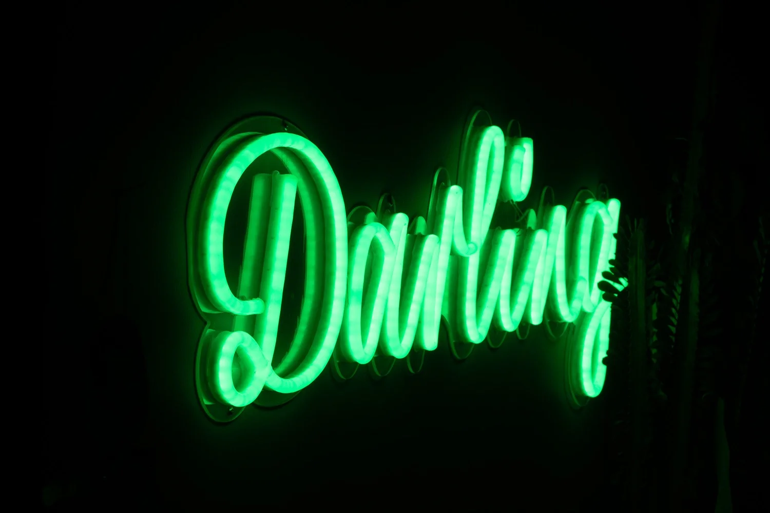 Agger Darling
