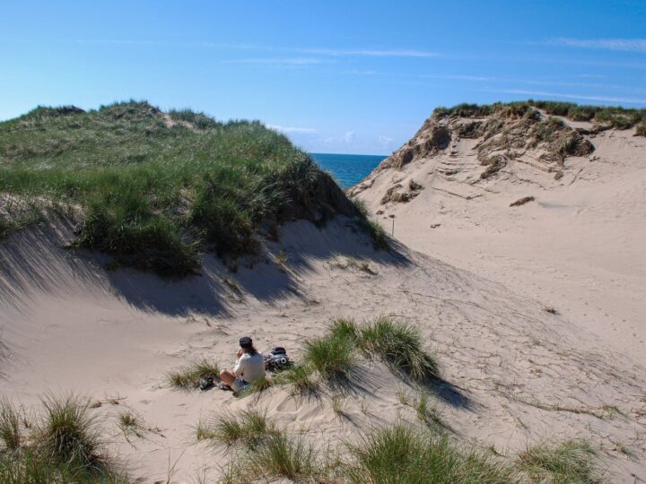 Stranden i Agger