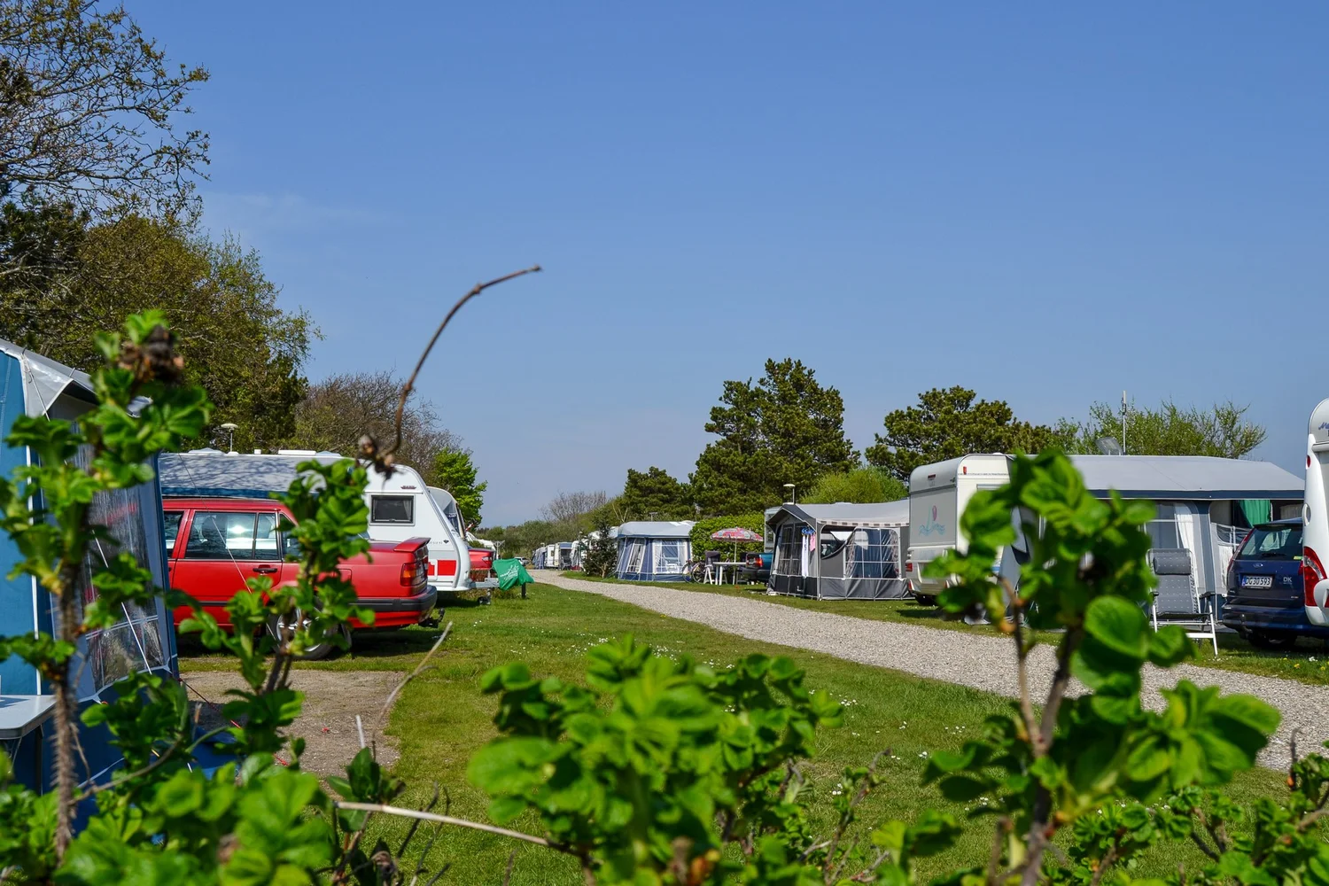 Krik Vig Camping