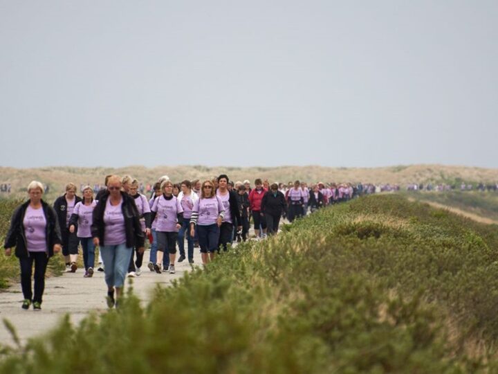 Ladywalk