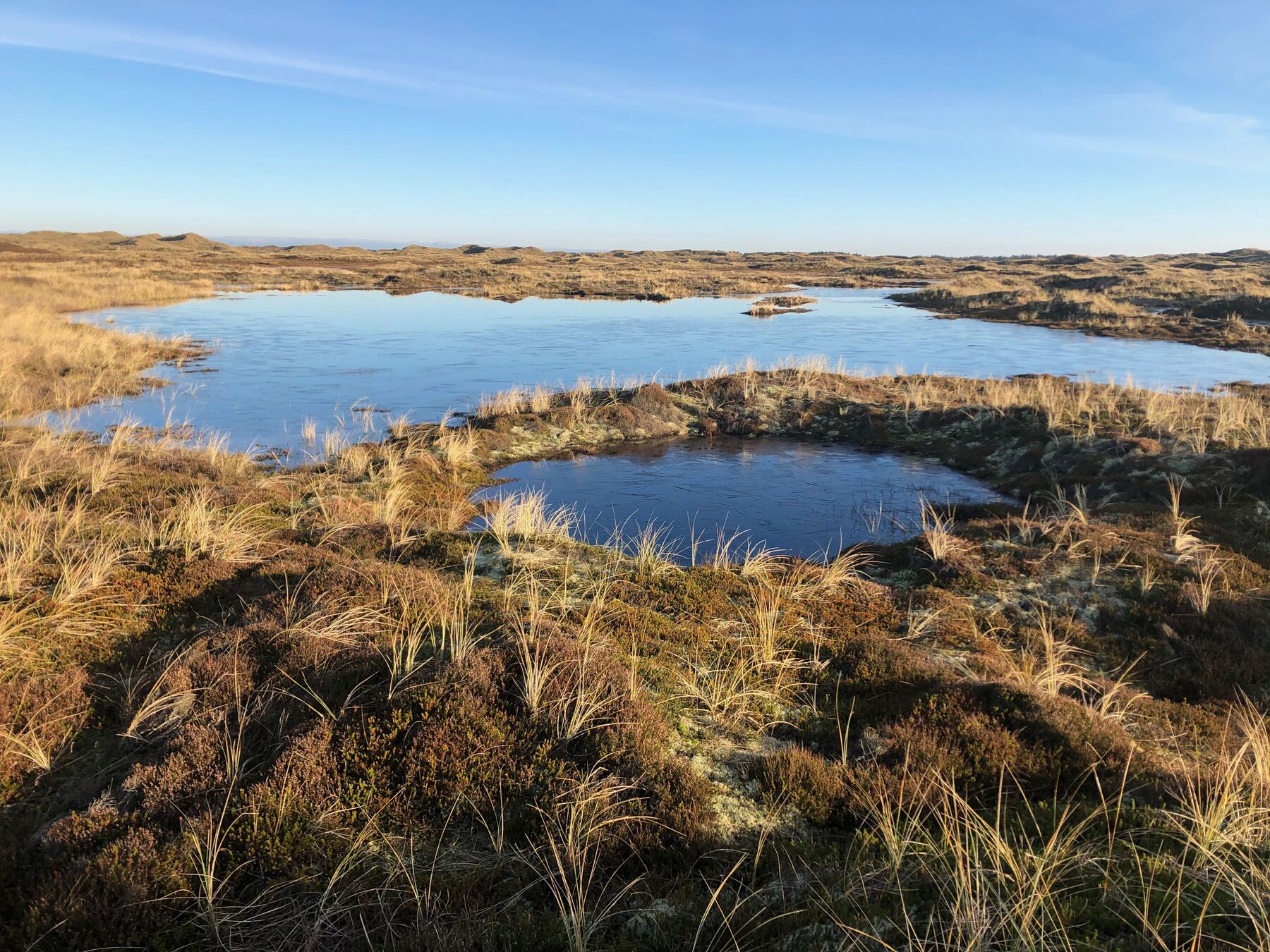 Laguner og klitter på Agger Tange
